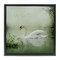 Stupell Industries Swan's Sanctuary Misty Lake Framed Floater Canvas Wall Art Design by Kelley Parker